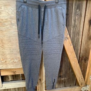Arizona Gray Skinny Joggers